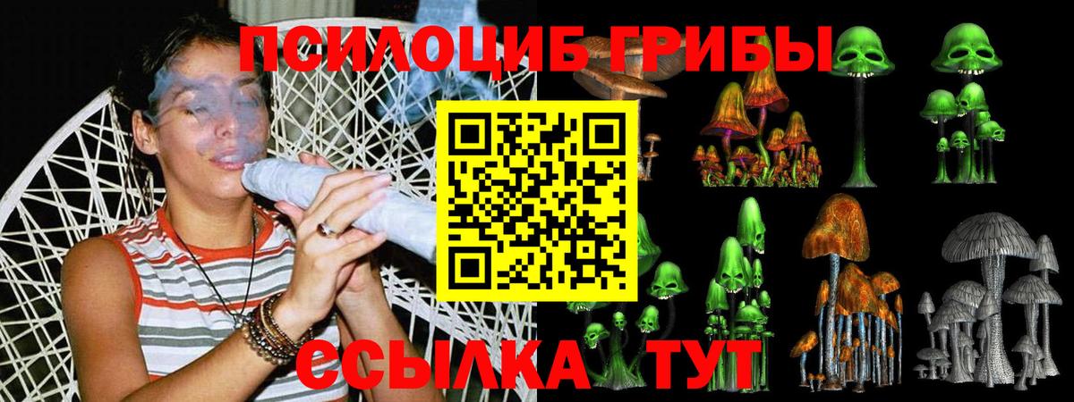 где продают   Псилоцибиновые грибы MAGIC MUSHROOMS  Крымск  Вход с VPN  Галлюциногенные грибы Cubensis 